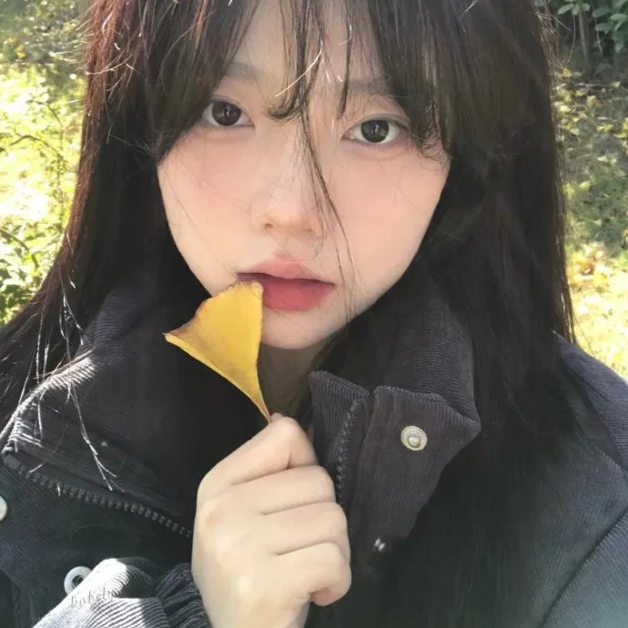 布劳涅森林的女人们